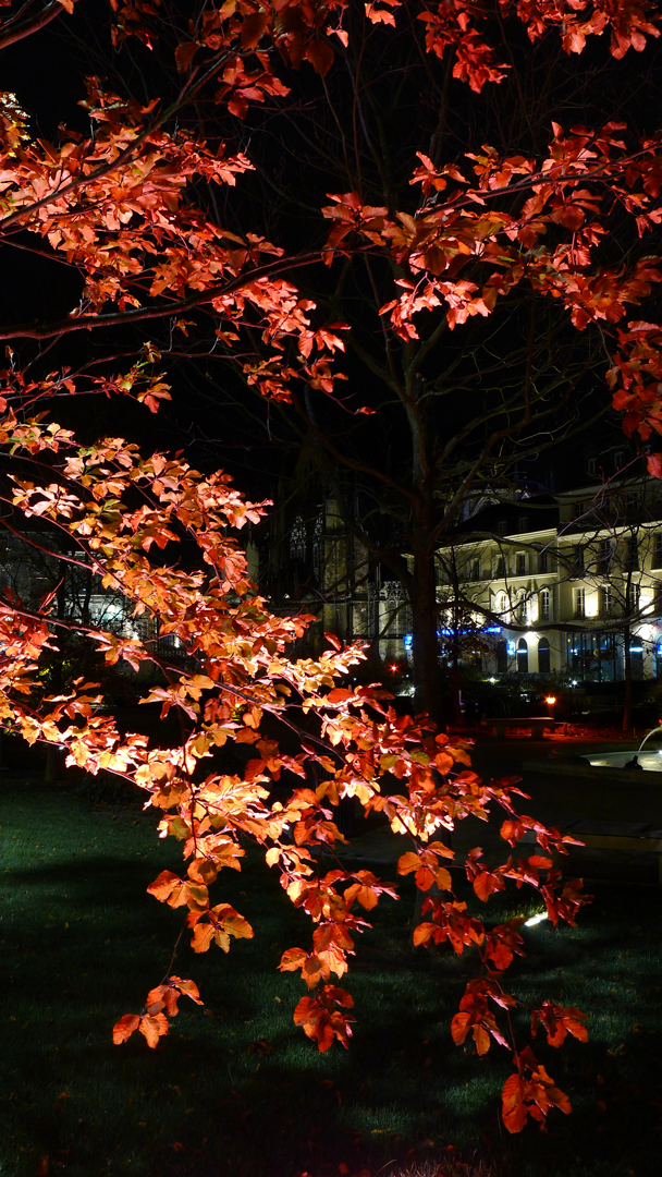 Concepteur-lumiere-Acte-Lumiere-Troyes-Liberation7