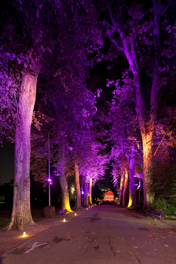 Strabourg, Orangerie, Assises Europennes du paysage, Conception lumière, éclairage coloré, festif, ambiance colorée